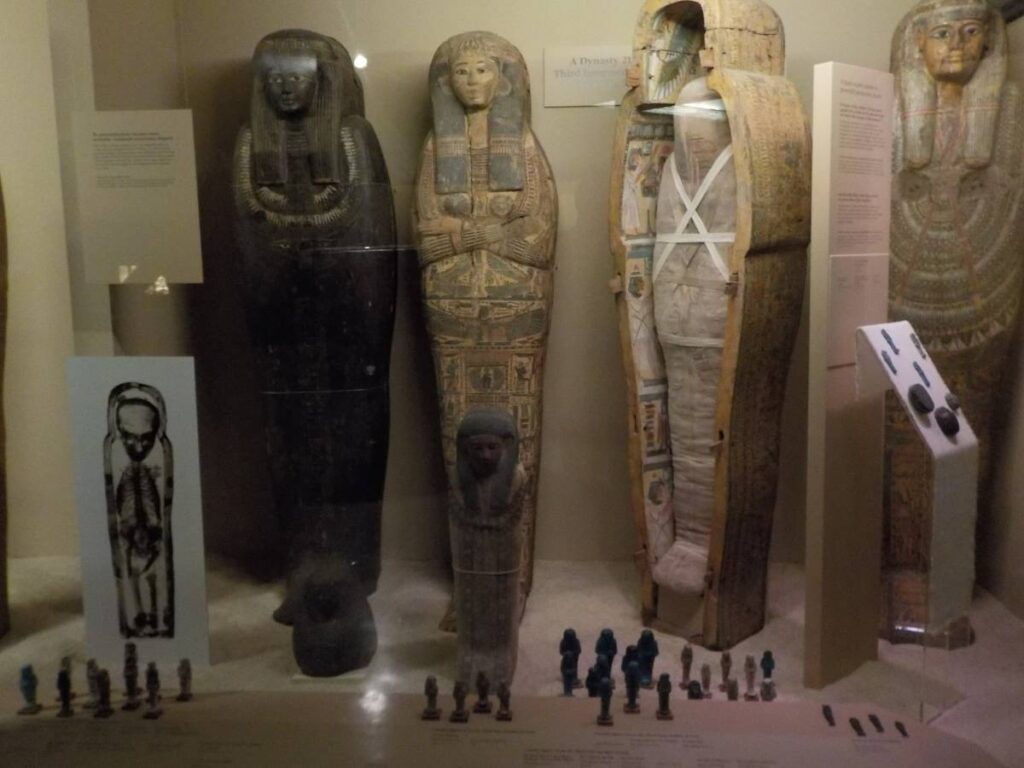 Quick Stop at The Field Museum Our Changing Lives