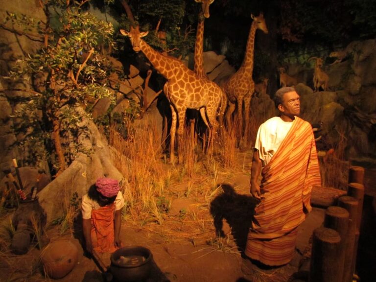 The Hidden Wonders of Rolling Hills Zoo Our Changing Lives