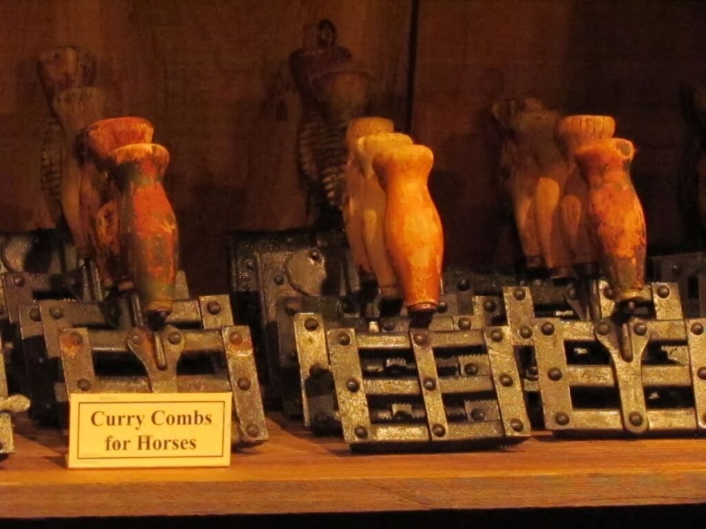 A display of multiple wooden handled curry combs for horses.