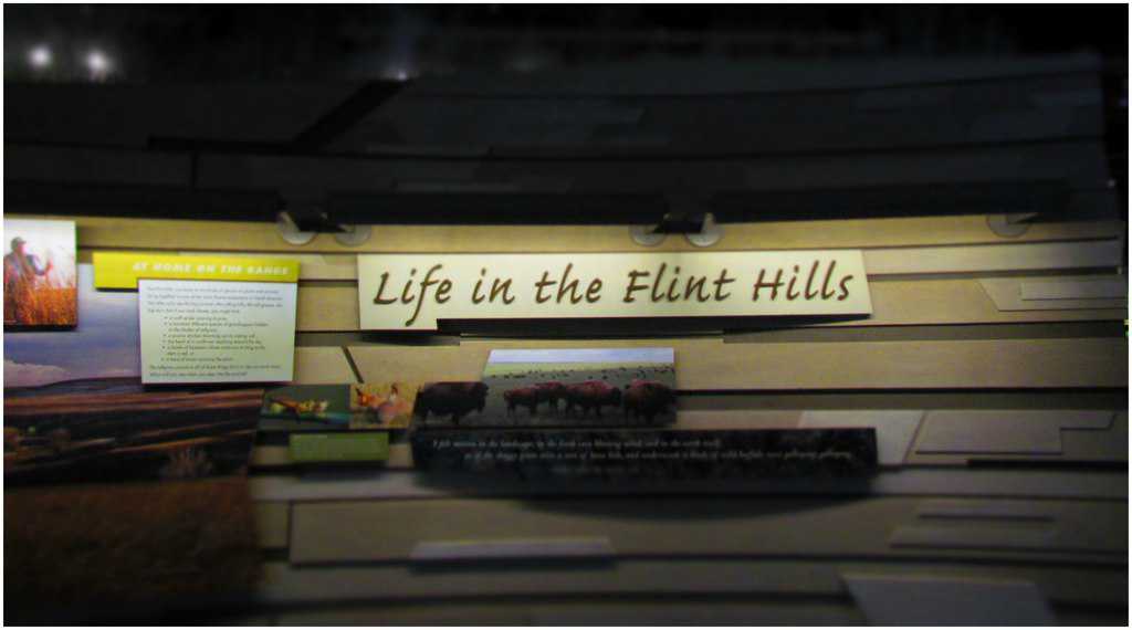 Flint Hills Discovery Center-Manhattan-Kansas-flint hills-grasslands-prairie-science center