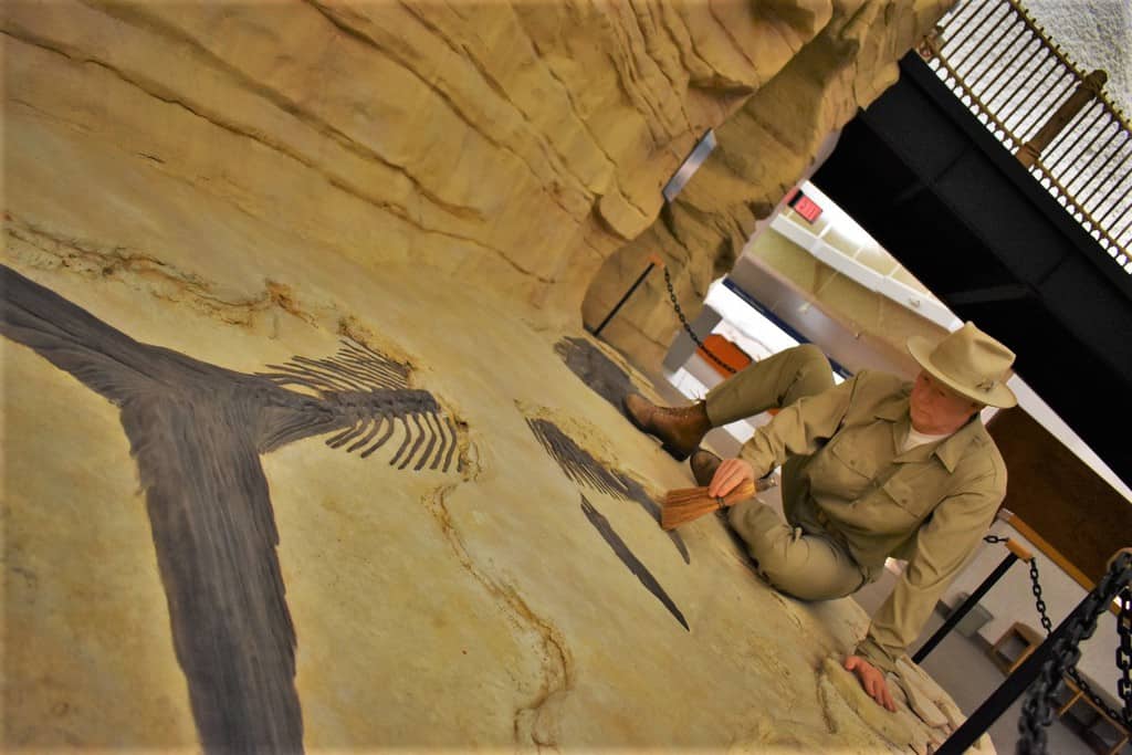 An archeologist works on a fossil that helps explain life in dinosaur days.