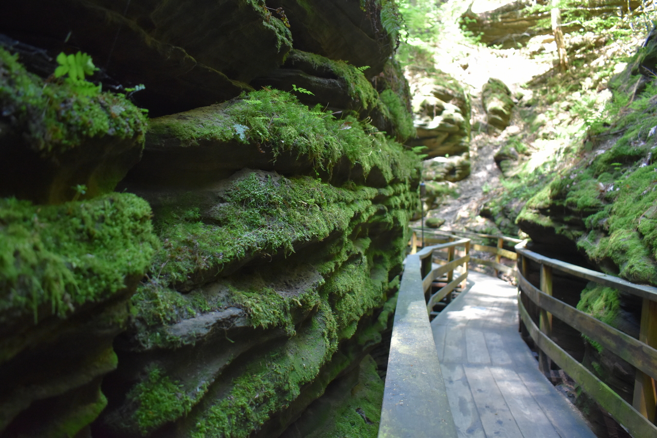 A trip on the Dells Boat Tour leads to some amazing views of the Wisconsin slot canyons.